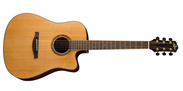 Dreadnought Gitarren