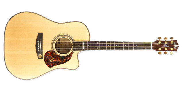 Premium Gitarren