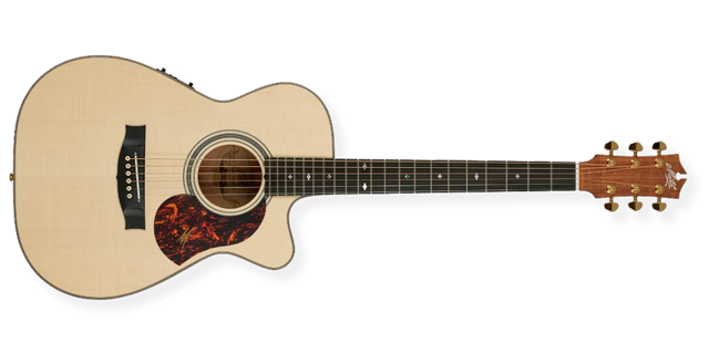 Signature Gitarren