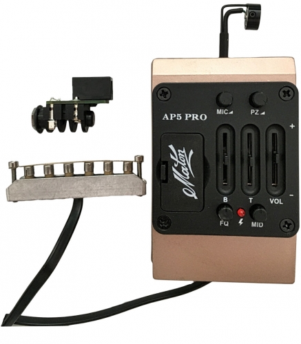 Maton AP 5 Pro System