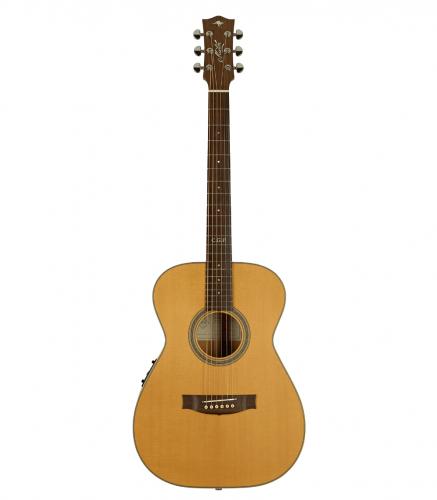 Maton Masterbuilt TE Personal