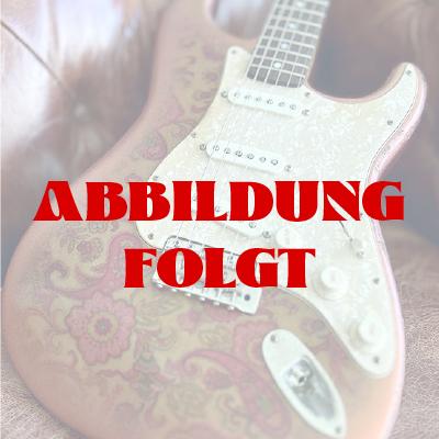 Maybach Texonian Pickguard Tortoise 3-ply Aged